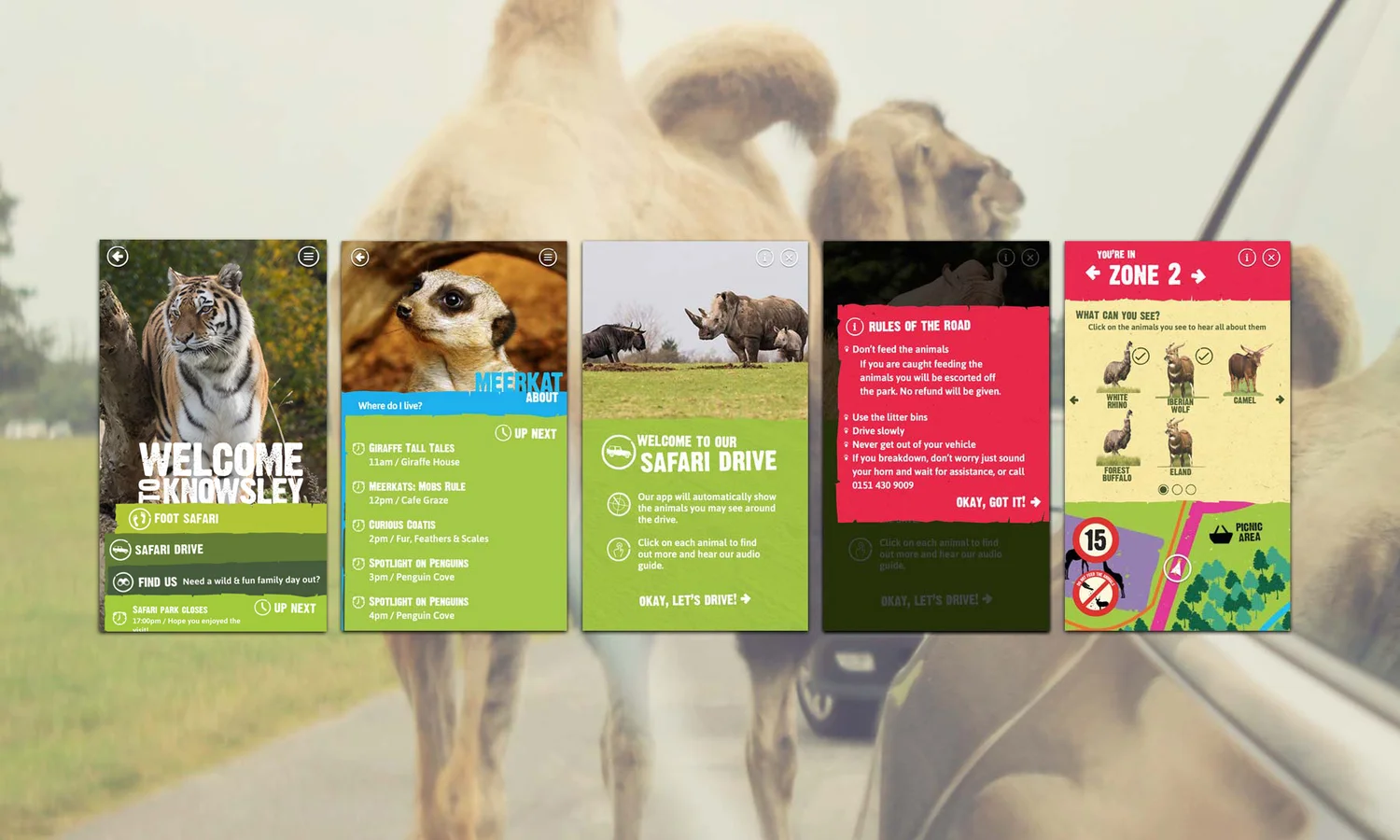 Knowsley Safari